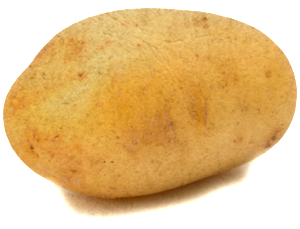 против брадавици