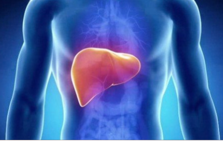 Храни, които прочистват черния дроб